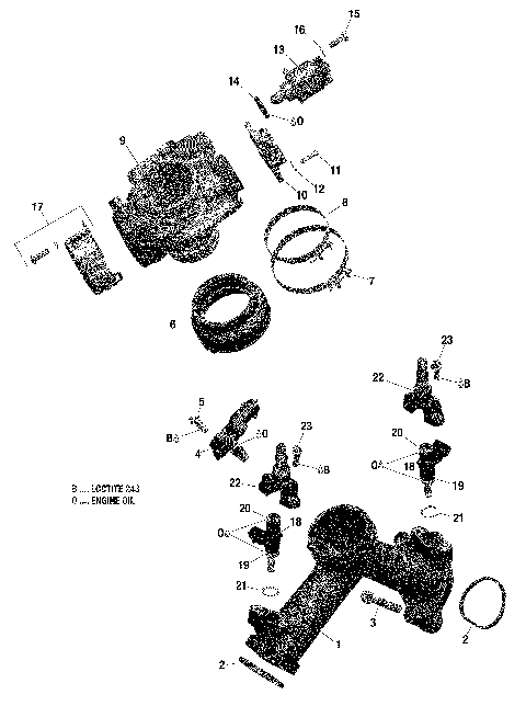 01- Rotax - Air Intake Manifold And Throttle Body - 211