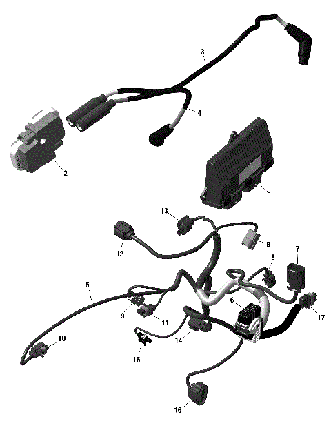 01- ROTAX - Engine Harness And Electronic Module