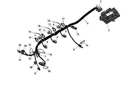 01- Rotax - Engine Harness And Electronic Module - Without IDF
