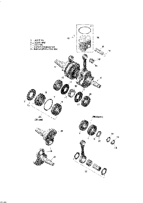 01- Crankshaft And Piston - 800 E-TEC