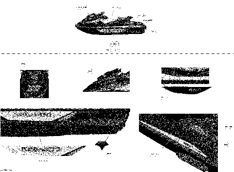 09- Decals _29S1510b