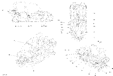 09- Decals Maverick MAX - Package XMR