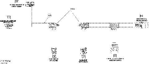 10- Steering Wiring Harness