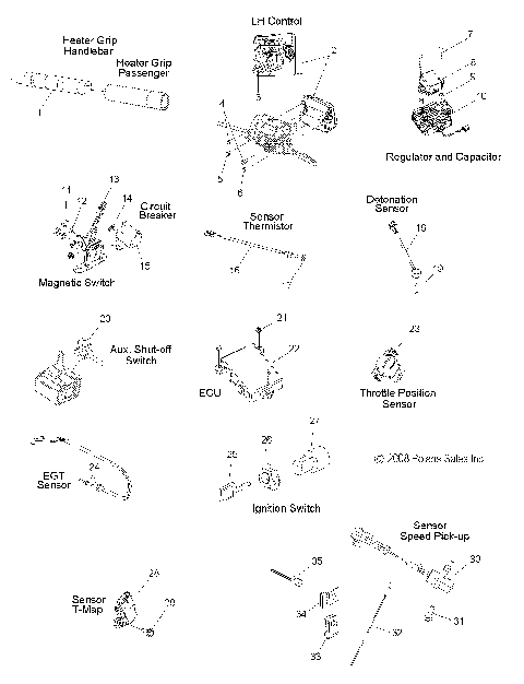 ELECTRICAL, SWITCHES, SENSORS and COMPONENTS - S09PT6HS/HE (49SNOWELECT09600TRG)
