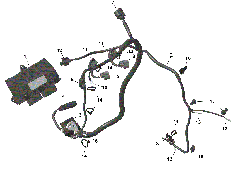 01- ROTAX - Engine Harness And Electronic Module