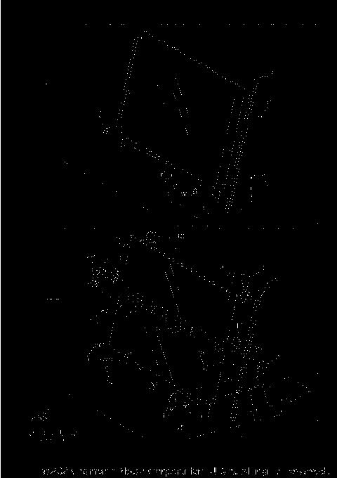 ALTERNATE FOR WINDSHIELD