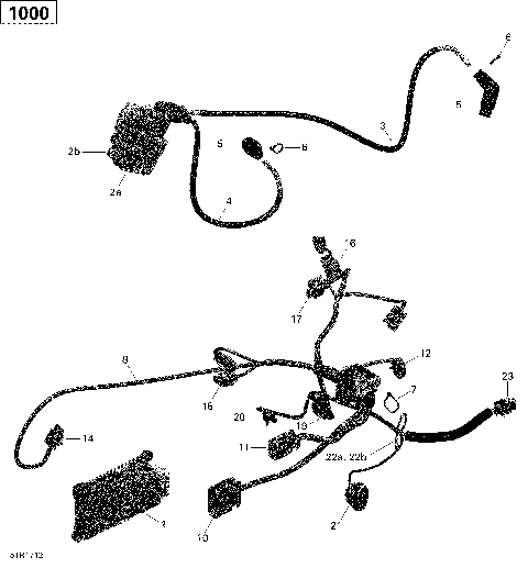 10- Engine Harness and Electronic Module - 1000 EFI (Package T3)
