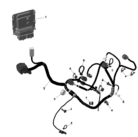 01- ROTAX - Engine Harness And Electronic Module