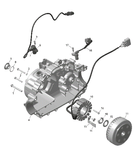 01- ROTAX - Magneto and Electric Starter