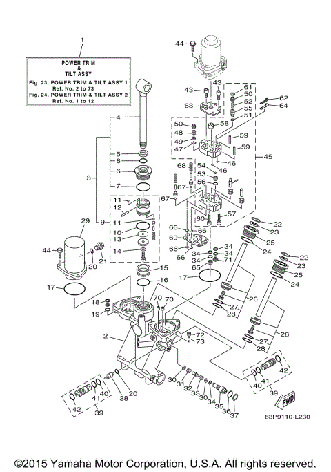 POWER TRIM TILT ASSY 1