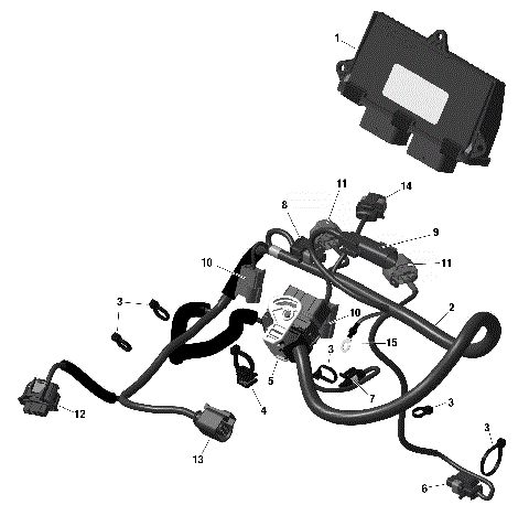 01- ROTAX - Engine Harness And Electronic Module