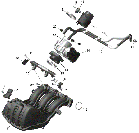 01- ROTAX - Air Intake Manifold And Throttle Body