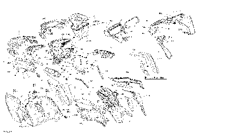 09- Body - Hood Section - Can-Am Red