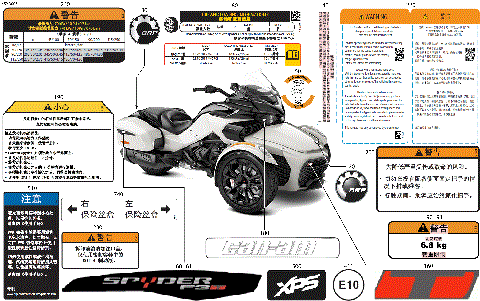 07- Body - Decals