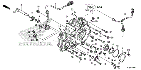 REAR CRANKCASE COVER