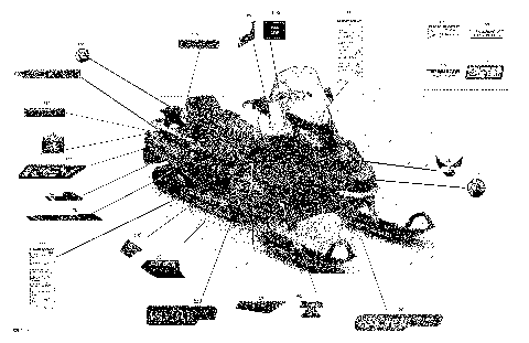 09- Decals - 900 ACE - Package SWT