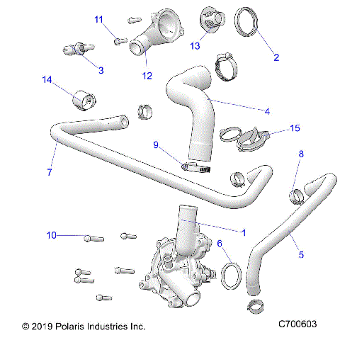 ENGINE, WATERPUMP AND BYPASS - D21BBP99A4/B4/FP99A4 (C700603)