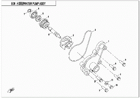 WATER PUMP ASSY