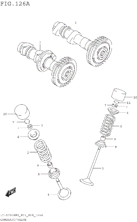 CAMSHAFT/VALVE