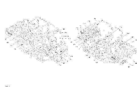 09- Decals Defender MAX - HD10 - XT CAB
