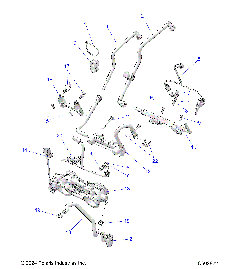 FUEL SYSTEM, RAIL, LINES and THROTTLE BODY - S24TLC8MS/8ME (C602822)