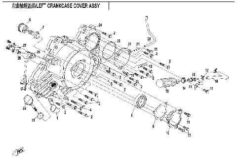 LEFT CRANKCASE COVER ASSY