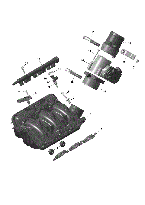 01- ROTAX - Air Intake Manifold And Throttle Body