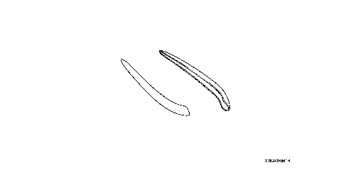 SIDE FAIRING ACCENTS