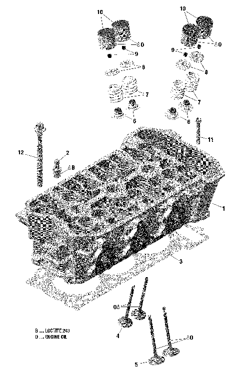 01- Rotax - Cylinder Head - 900 ACE