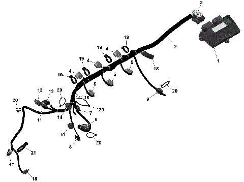 01- ROTAX - Engine Harness And Electronic Module
