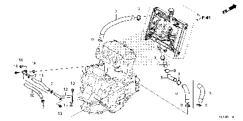 RADIATOR HOSE@WATER PIPE