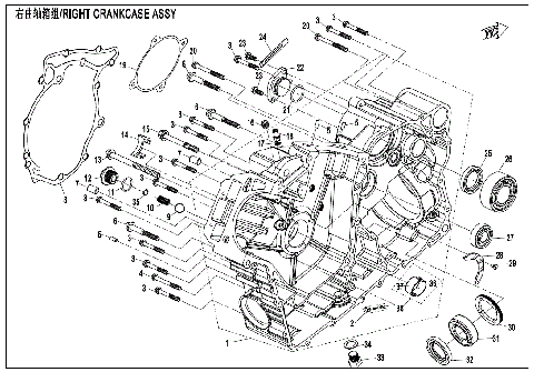 RIGHT CRANKCASE ASSY.