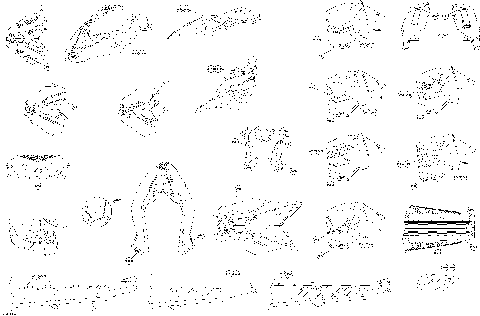 09- Decals - All Models