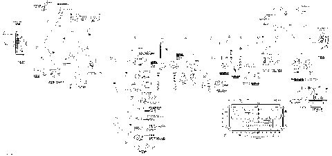 10- Main Harness XT, Europe