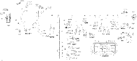 10- Main Harness XT, XT-P