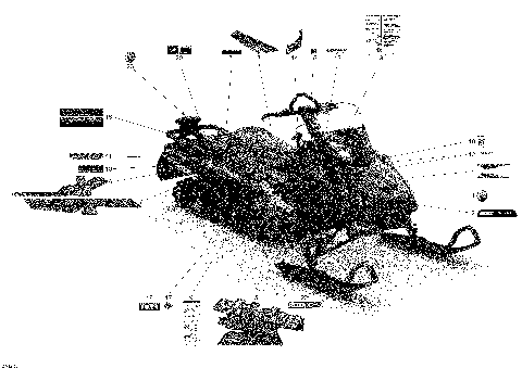 09- Decals - Extreme
