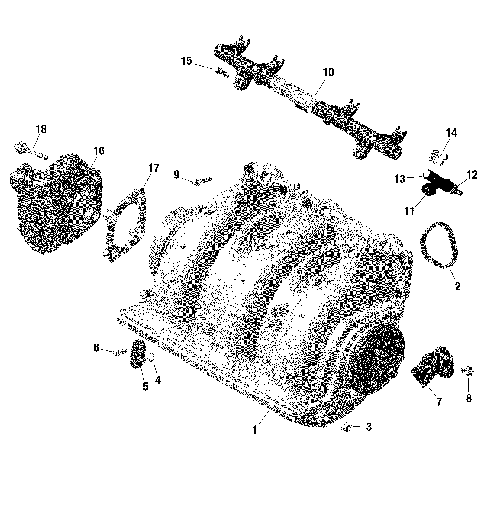 01- ROTAX - Air Intake Manifold And Throttle Body