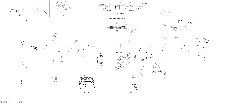 08- Electric - Main Harness - 515178731 - Enduro - Part 1