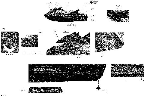 09- Decals (29S1301b)