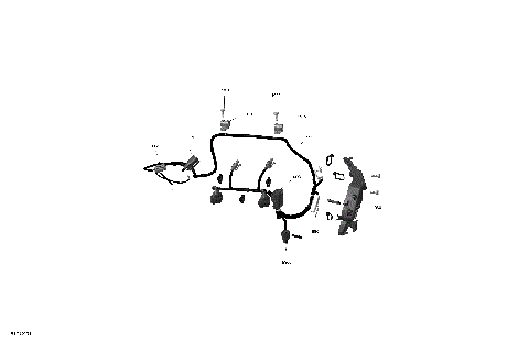 01- ROTAX - Engine Harness And Electronic Module