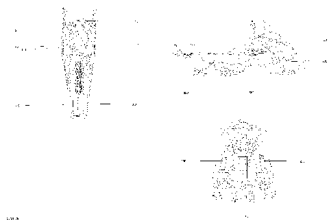 09- Decals Tundra - 600 ACE - Package Sport