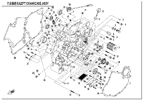 LEFT CRANKCASE ASSY