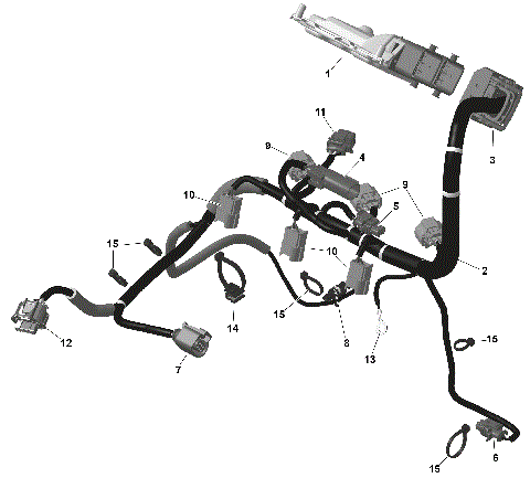 01- ROTAX - Engine Harness And Electronic Module