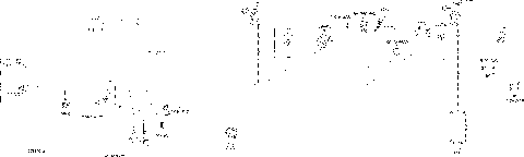 10- Electrical Harness - 710004898 DPS