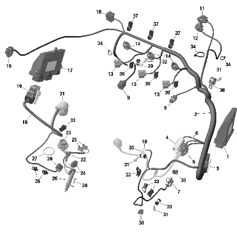 01- ROTAX - Engine Harness And Electronic Module