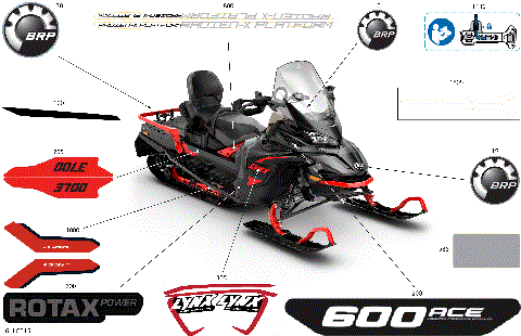 07- Body - Decals
