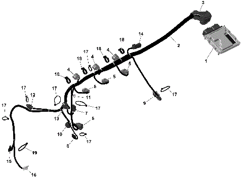 01- ROTAX - Engine Harness And Electronic Module