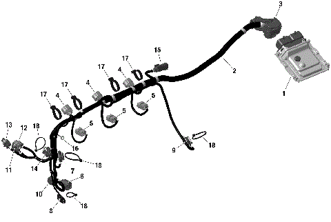 01- ROTAX - Engine Harness And Electronic Module