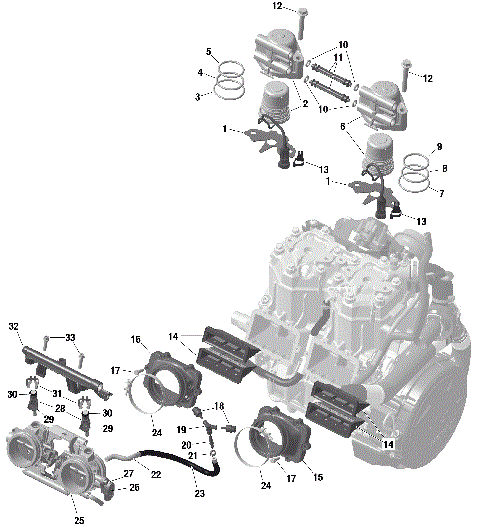 01- ROTAX - Electronic Fuel Injection
