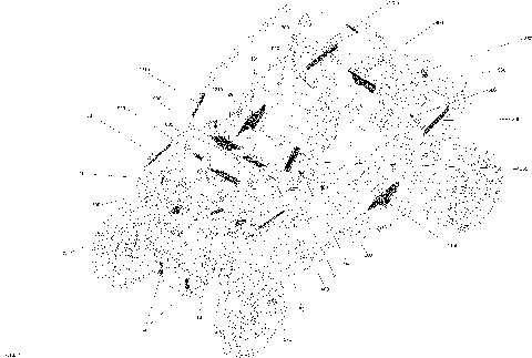 09- Decals Maverick Trail - 1000 EFI